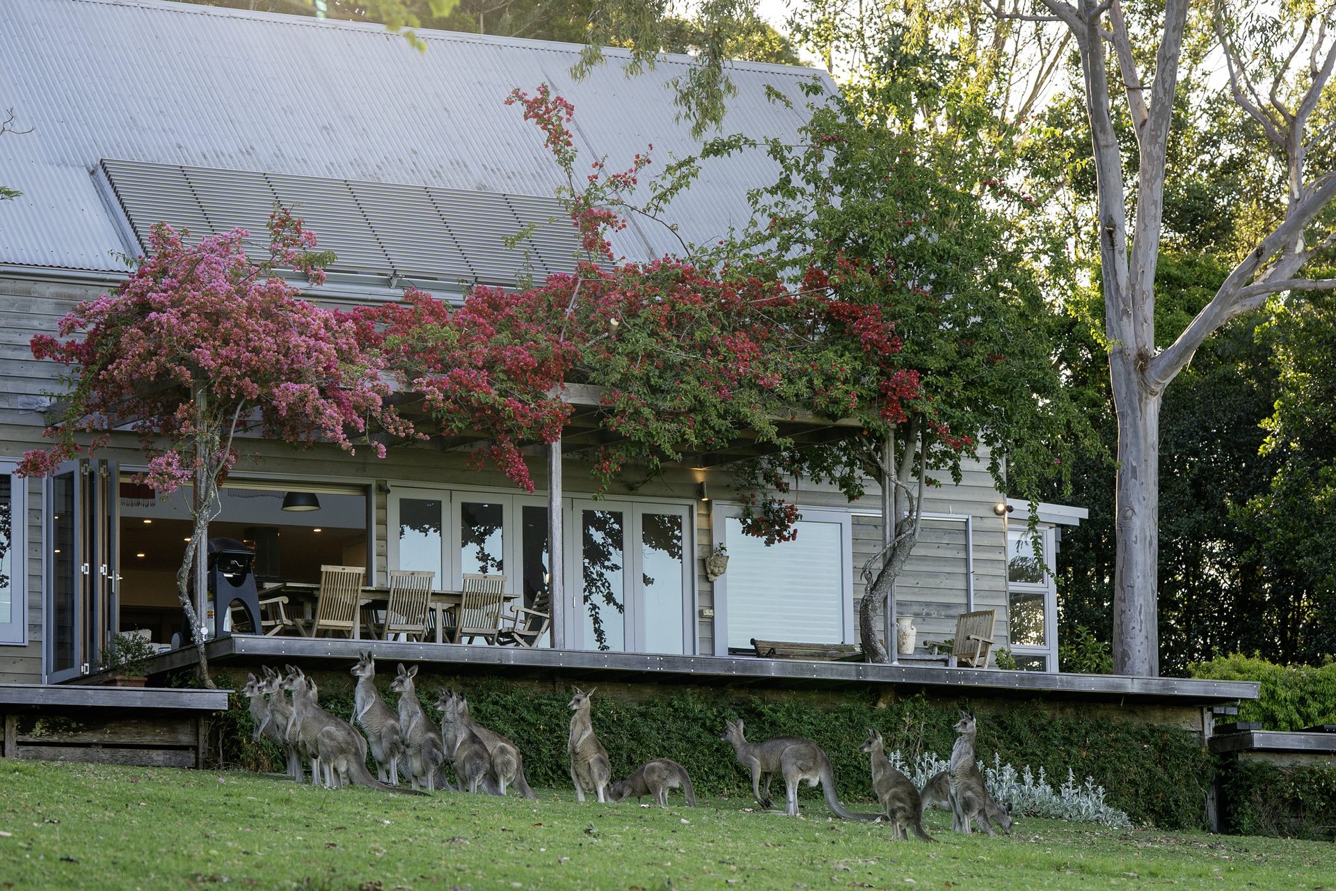 Cabin exterior and breezeway