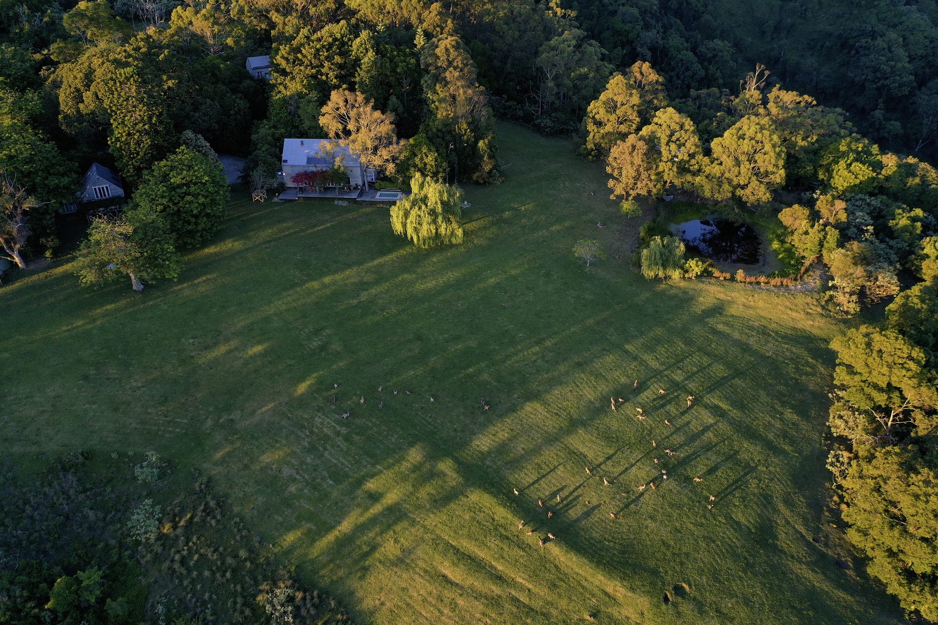 Aerial view of The Hill of Peace