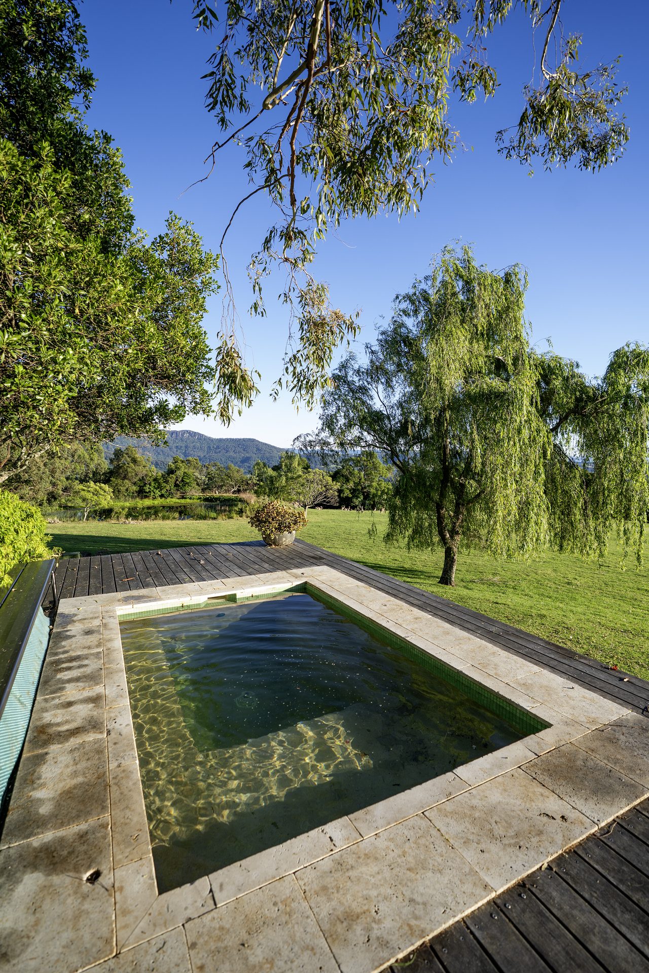 Plunge pool with view